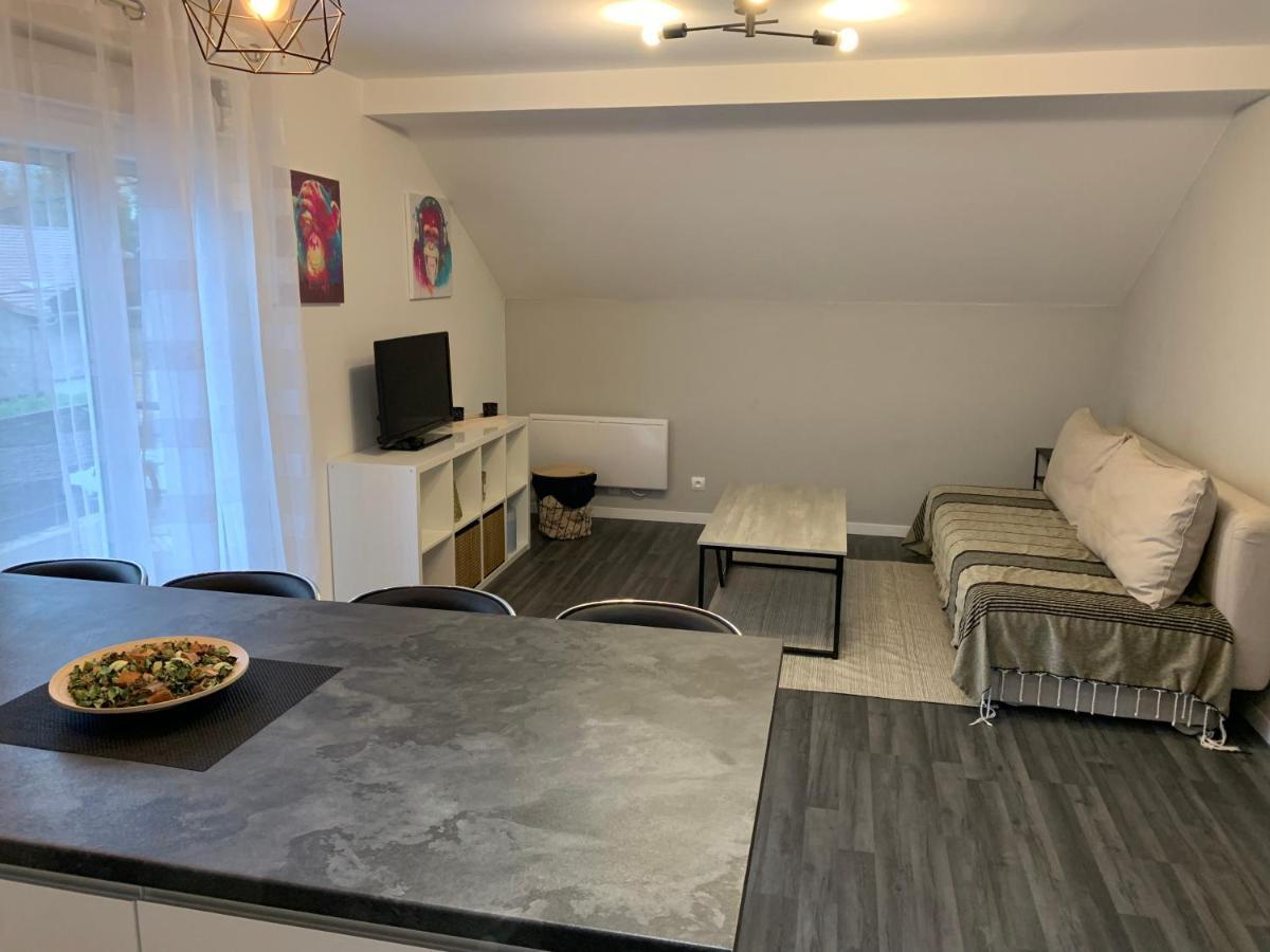Coquet Appartement Aux Pieds Des Montagnes Scionzier エクステリア 写真